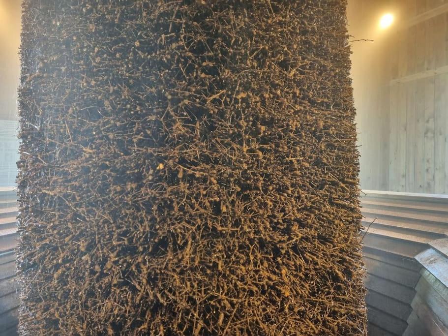 Ferienwohnung Direkt Am Kurpark Mit Gradierwerk Solestadt Bad Dürrenberg المظهر الخارجي الصورة